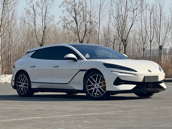 Фото 3 - Denza Z9GT