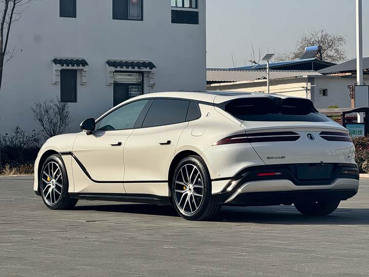 Фото 4 - Denza Z9GT