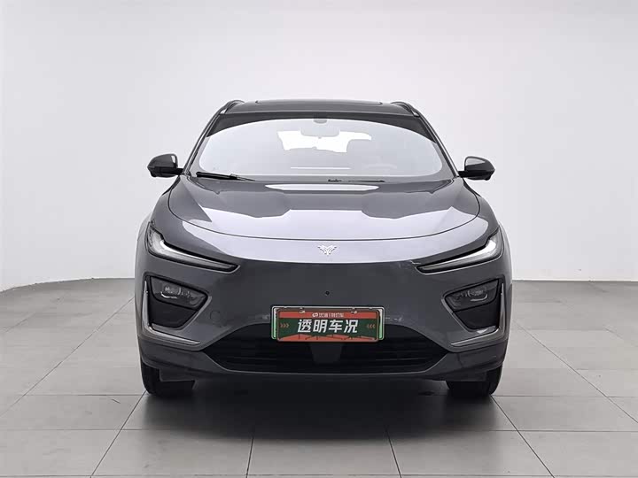 Фото 3 - Hozon X