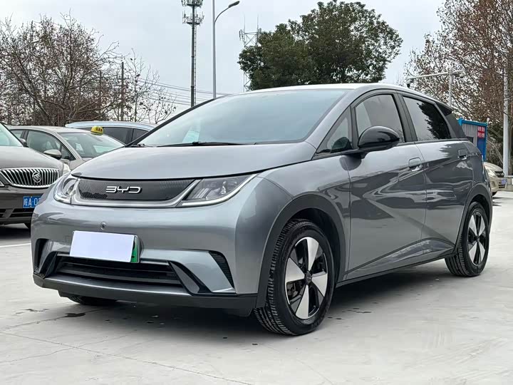 Фото 1 - BYD Dolphin