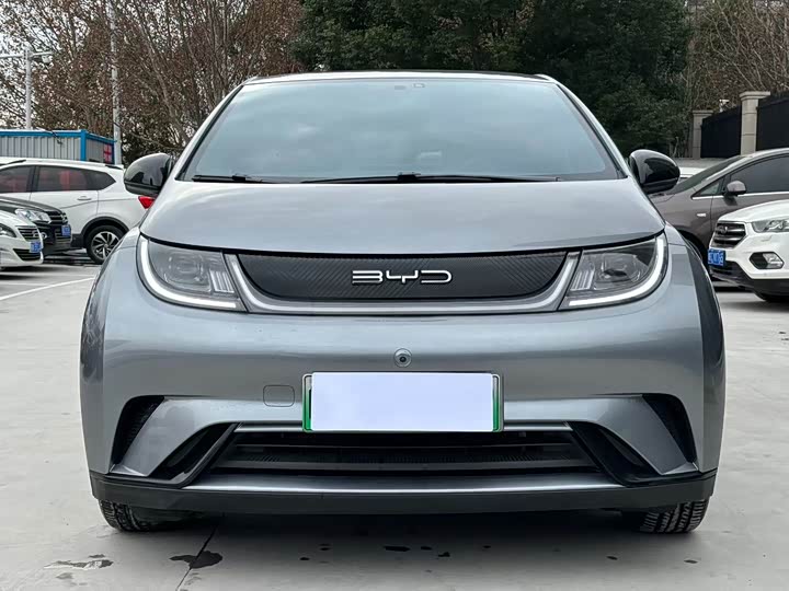 Фото 2 - BYD Dolphin