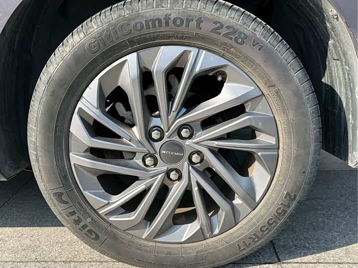 Фото 9 - Maxus G50