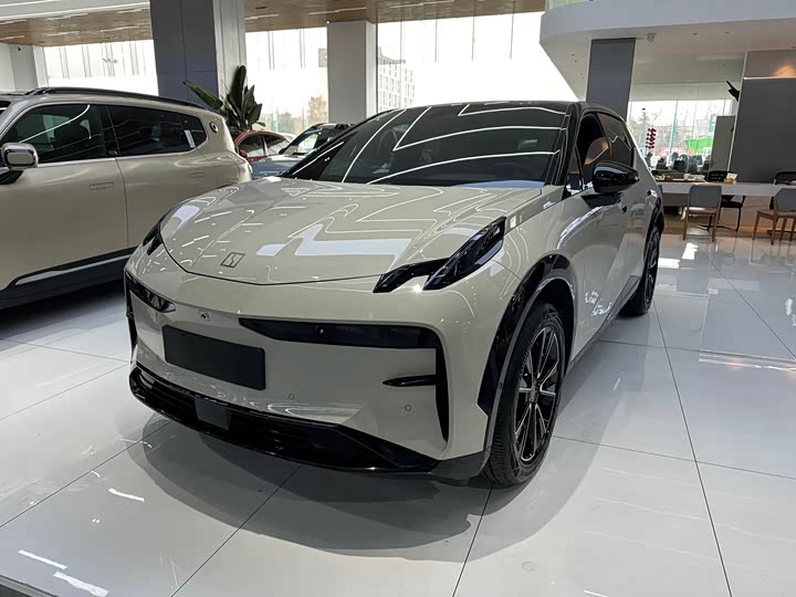 Фото 1 - Zeekr X