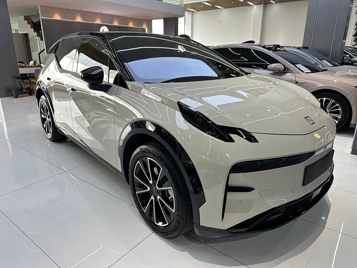 Фото 4 - Zeekr X