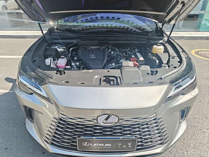 Фото 9 - Lexus RX