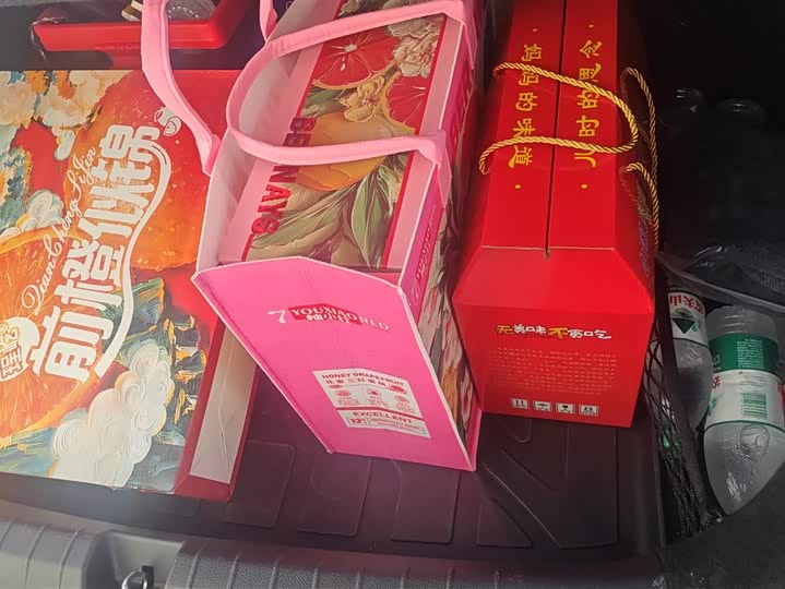 Фото 4 - BYD Qin Plus