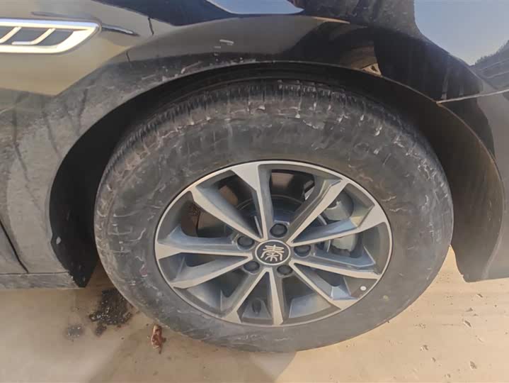 Фото 6 - BYD Qin Plus