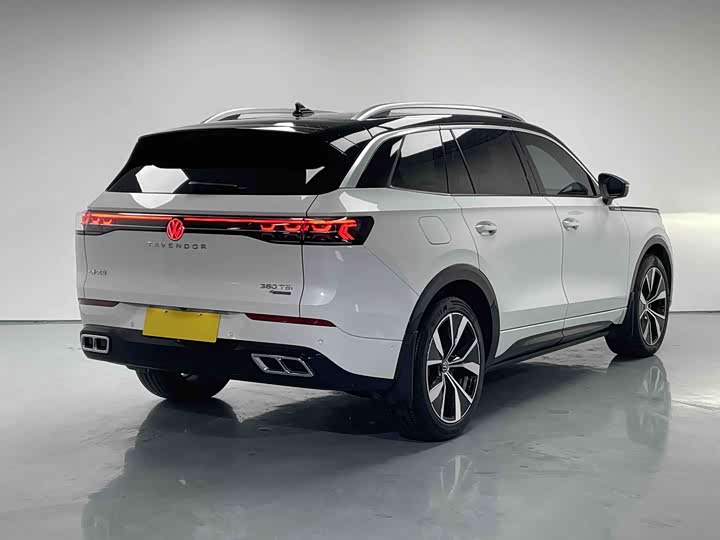 Фото 7 - Volkswagen Tavendor