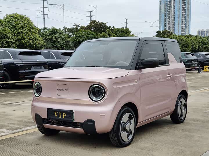 Фото 1 - Geely Galaxy Panda Mini