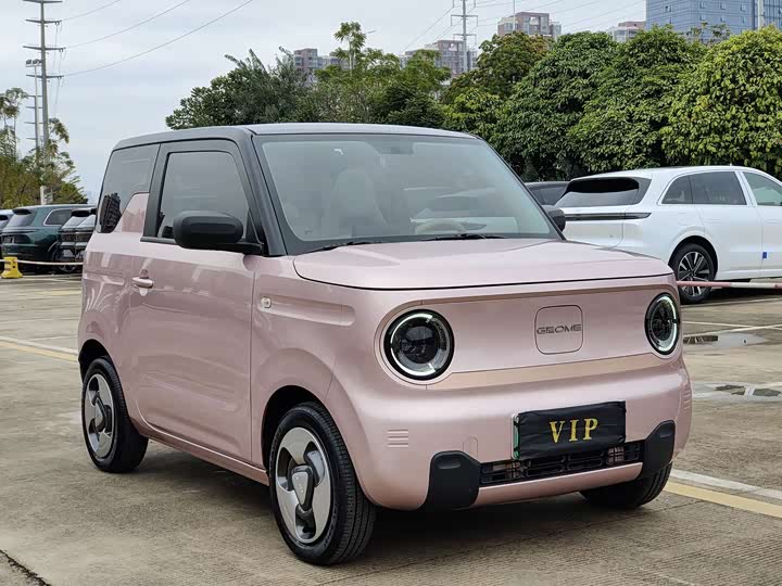 Фото 3 - Geely Galaxy Panda Mini