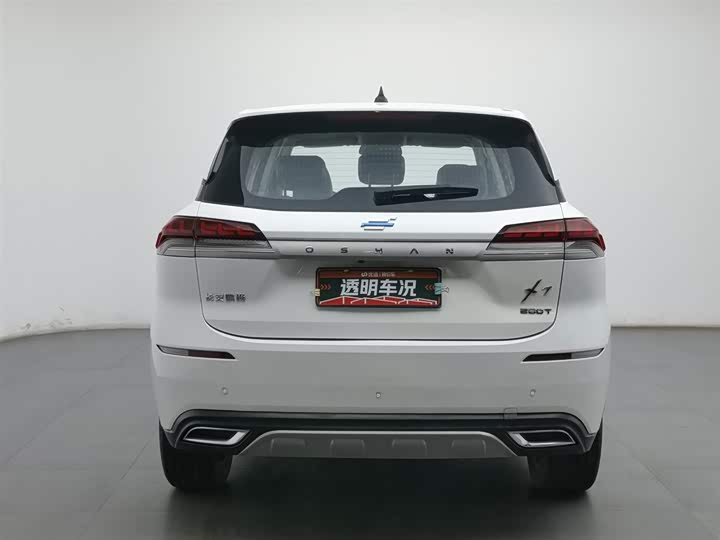 Фото 4 - Changan Oshan X7