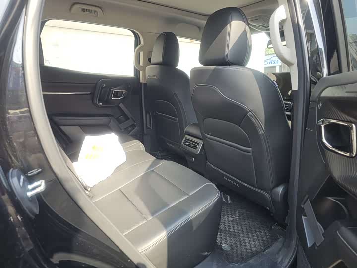 Фото 5 - Haval H-Dog