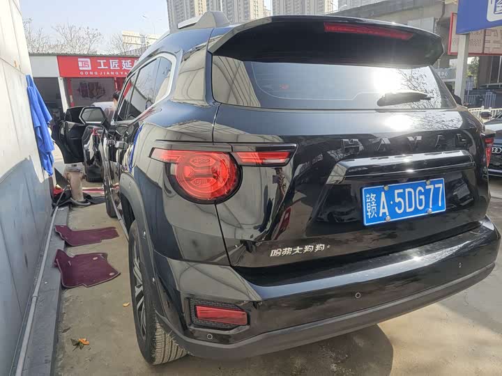 Фото 6 - Haval H-Dog
