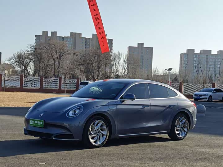 Фото 1 - Ora Lightning Cat (07)