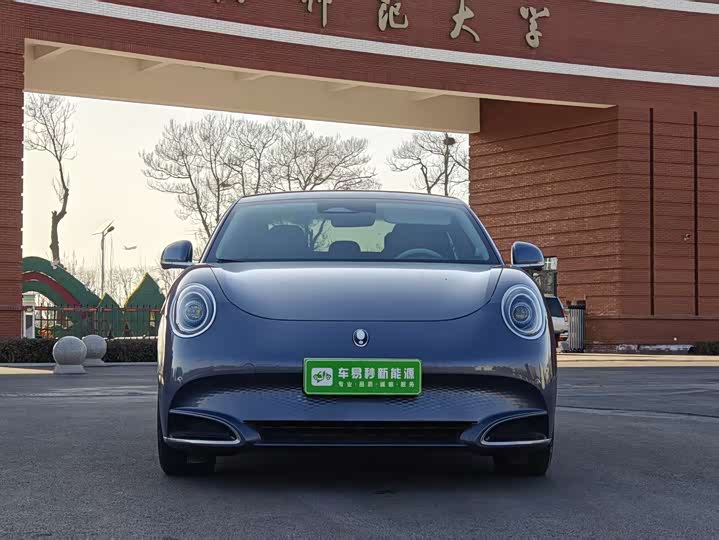 Фото 2 - Ora Lightning Cat (07)