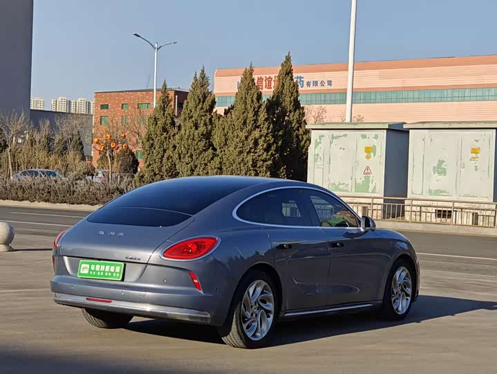 Фото 4 - Ora Lightning Cat (07)