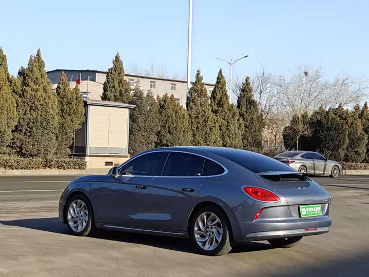 Фото 5 - Ora Lightning Cat (07)