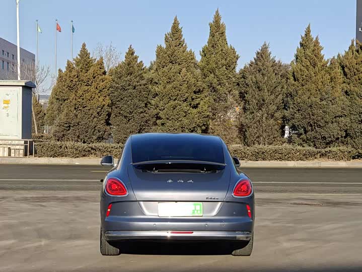 Фото 6 - Ora Lightning Cat (07)