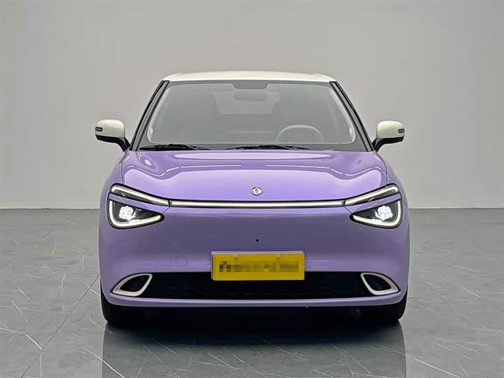 Фото 2 - Dongfeng Yipai 01