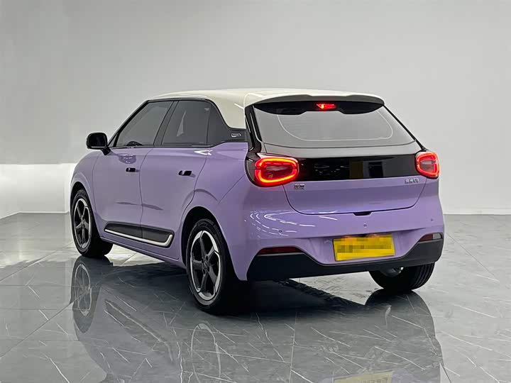 Фото 4 - Dongfeng Yipai 01