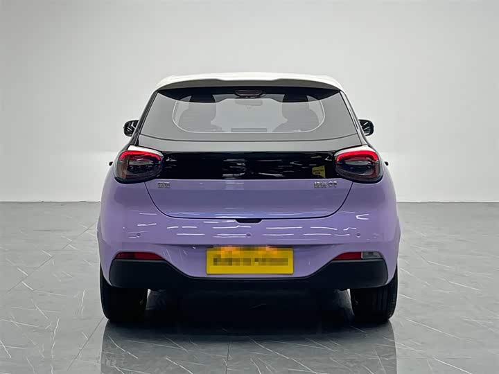 Фото 5 - Dongfeng Yipai 01