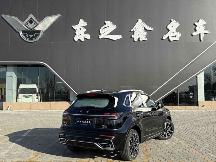 Фото 3 - Hongqi HS5