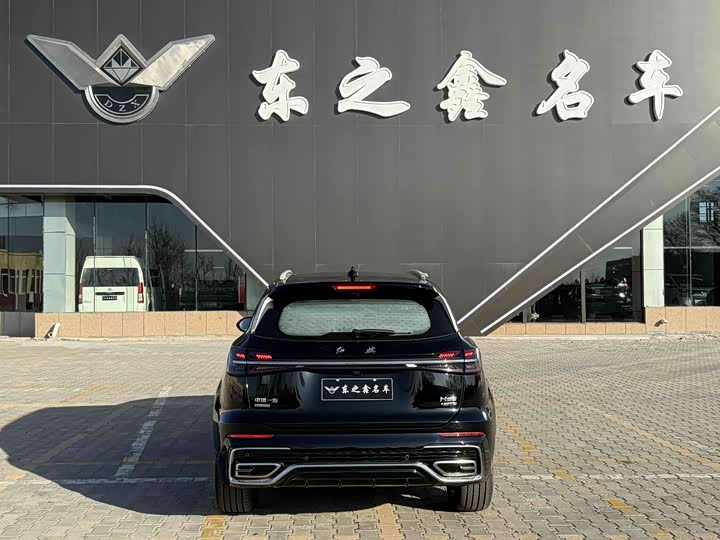 Фото 4 - Hongqi HS5