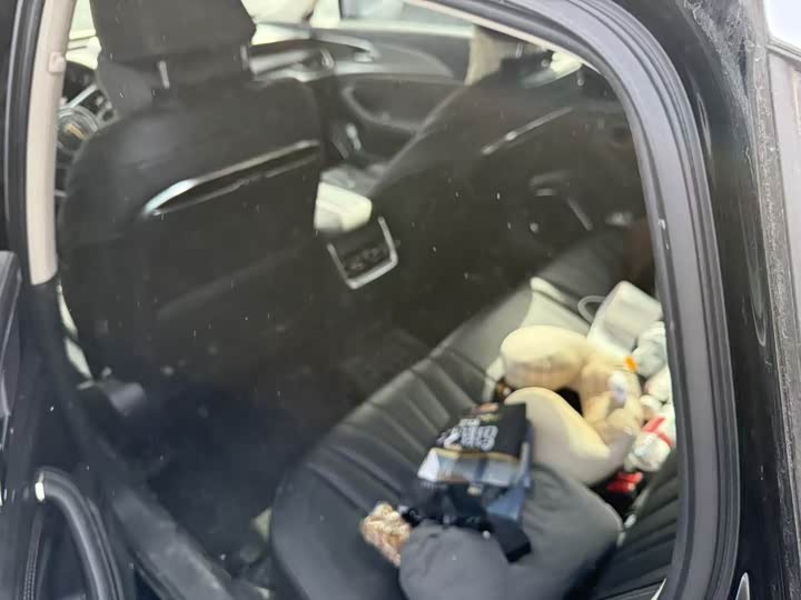 Фото 6 - Hongqi H5