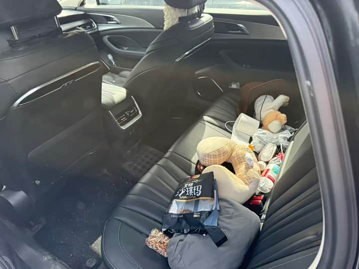 Фото 7 - Hongqi H5