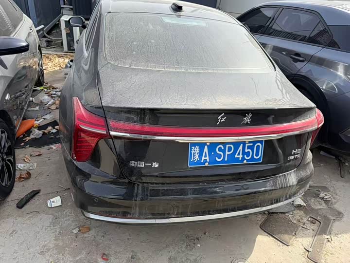 Фото 9 - Hongqi H5