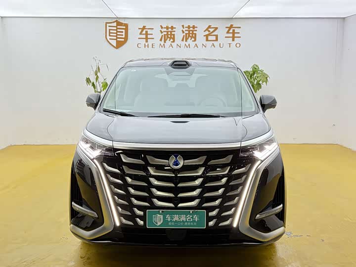 Фото 2 - Denza D9