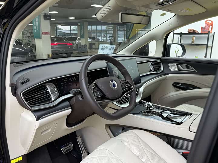 Фото 4 - Denza D9