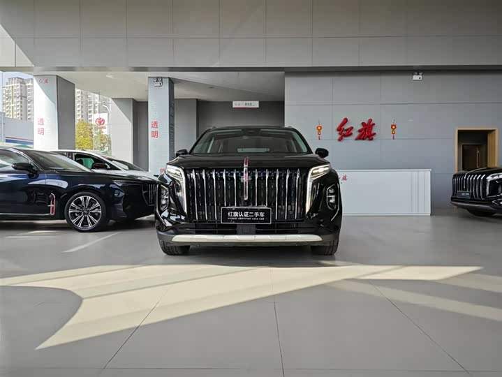 Фото 2 - Hongqi HS7 Hybrid