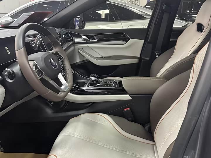 Фото 8 - BYD Qin Plus