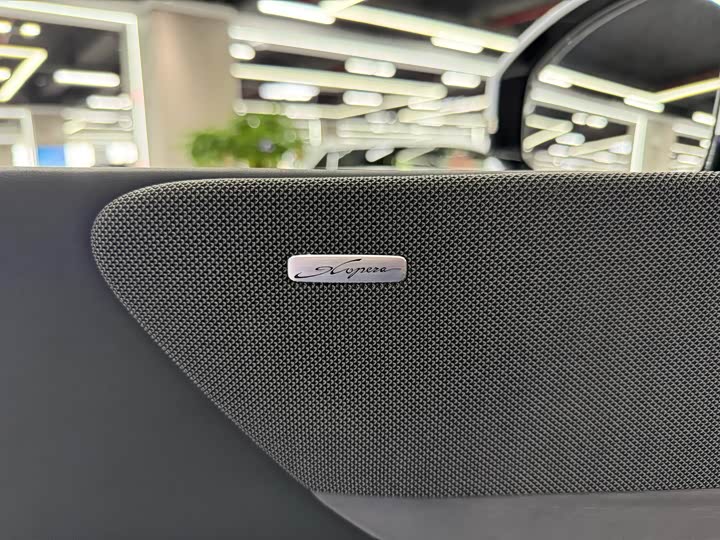 Фото 9 - XPeng X9