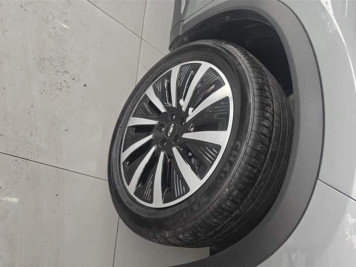 Фото 6 - Chery Fulwin T8