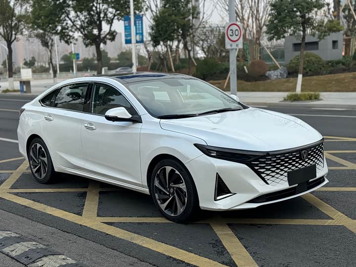 Фото 3 - Changan Raeton Plus