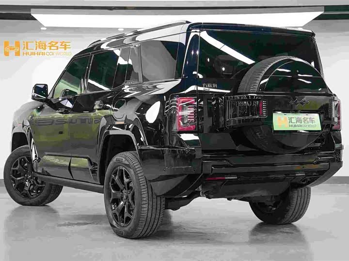 Фото 6 - BYD FangChengBao Leopard 8