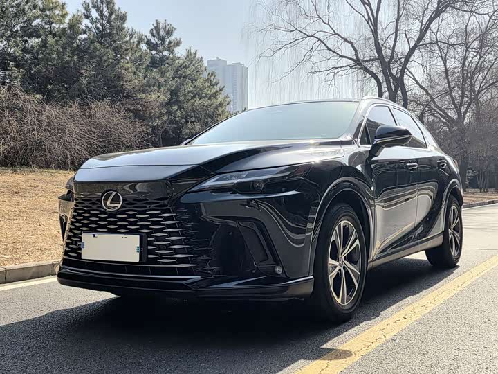 Фото 1 - Lexus RX