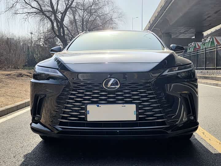 Фото 2 - Lexus RX