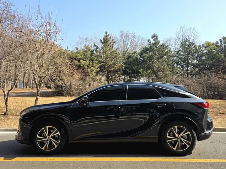 Фото 3 - Lexus RX