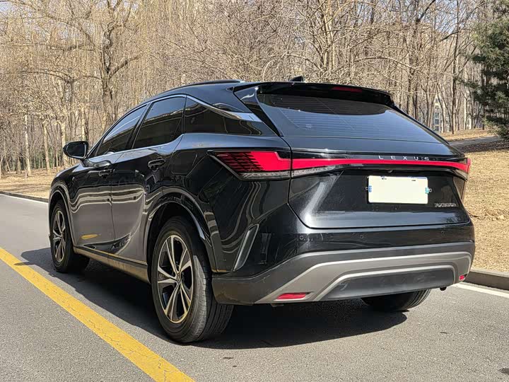 Фото 5 - Lexus RX