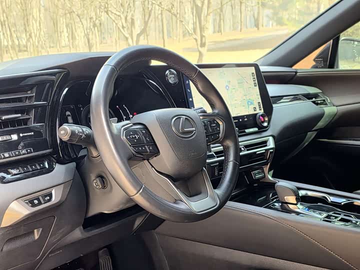 Фото 9 - Lexus RX