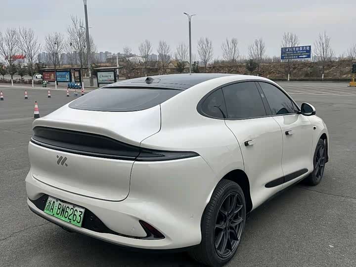 Фото 7 - IM motors LS6