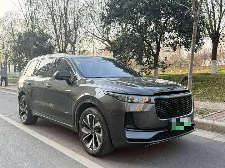 Фото 3 - LiXiang One