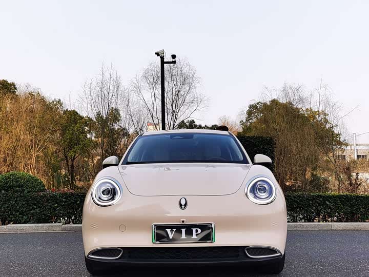 Фото 3 - Ora Good Cat (03)