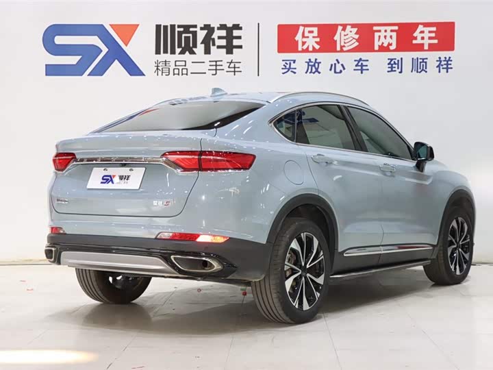 Фото 5 - Geely Tugella S