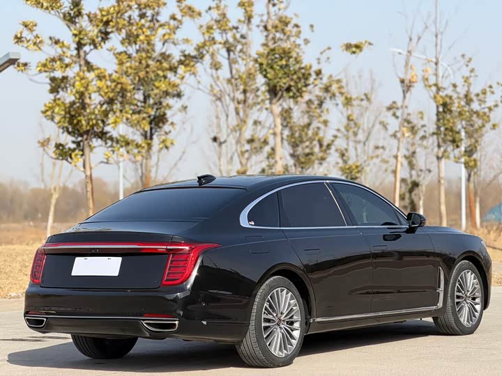 Фото 6 - Hongqi H9