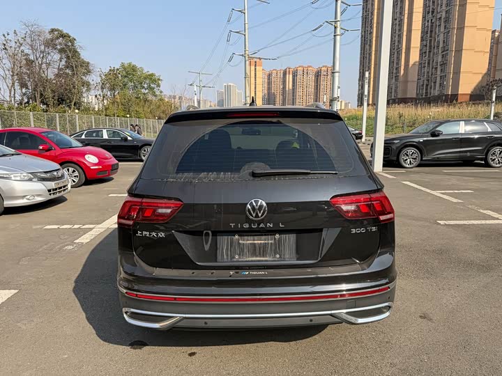 Фото 6 - Volkswagen Tiguan L Pro