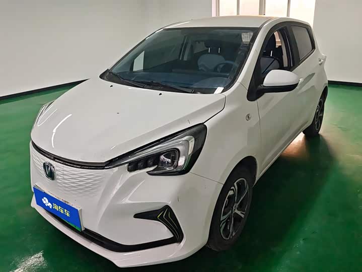 Фото 1 - Changan BenBen E-Star